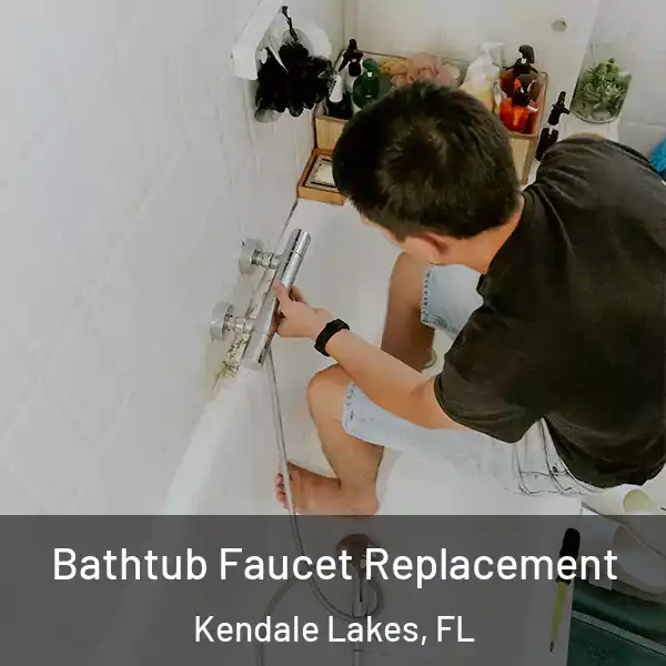  Bathtub Faucet Replacement Kendale Lakes, FL