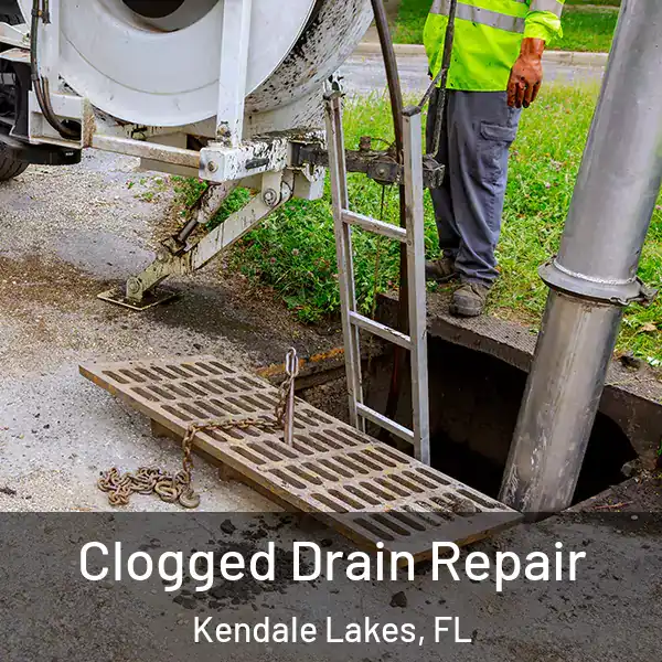  Clogged Drain Repair Kendale Lakes, FL