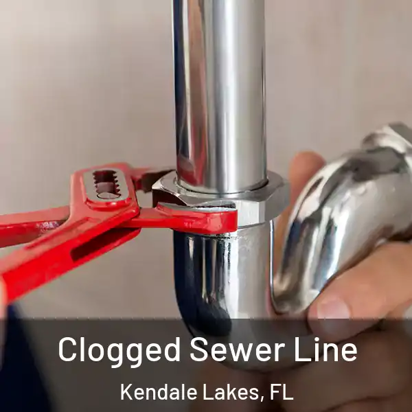  Clogged Sewer Line Kendale Lakes, FL