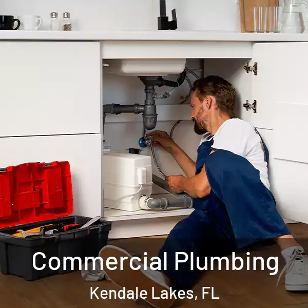  Commercial Plumbing Kendale Lakes, FL