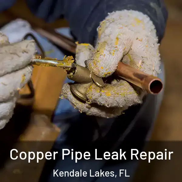  Copper Pipe Leak Repair Kendale Lakes, FL