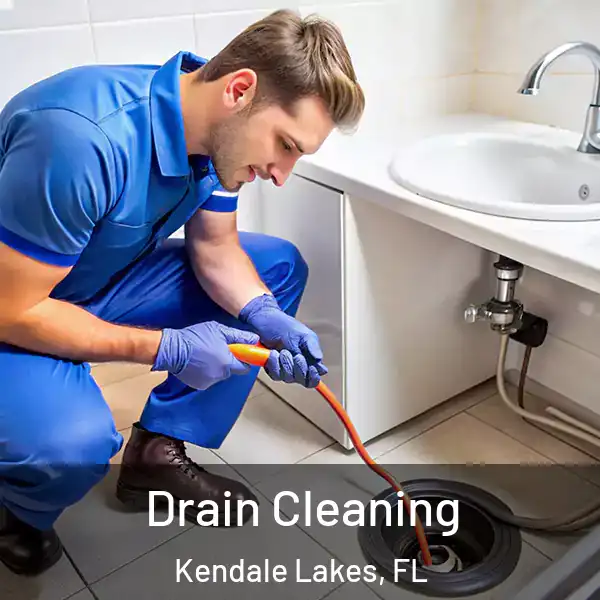  Drain Cleaning Kendale Lakes, FL