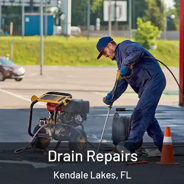  Drain Repairs Kendale Lakes, FL