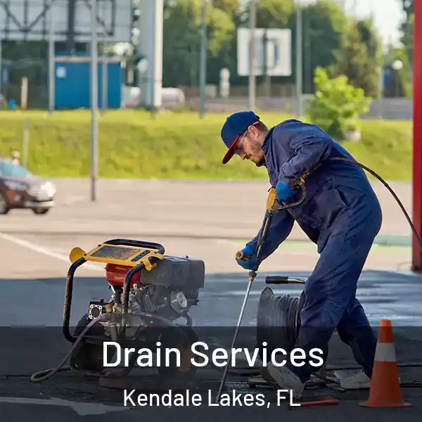  Drain Services Kendale Lakes, FL