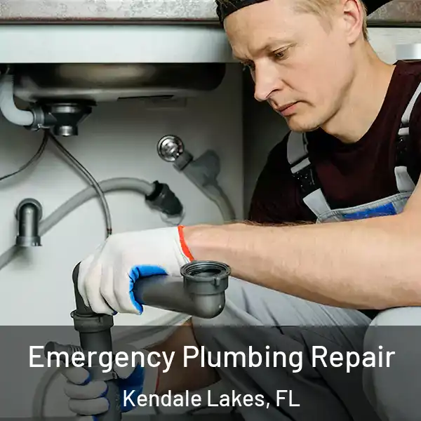  Emergency Plumbing Repair Kendale Lakes, FL
