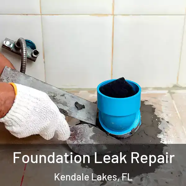  Foundation Leak Repair Kendale Lakes, FL