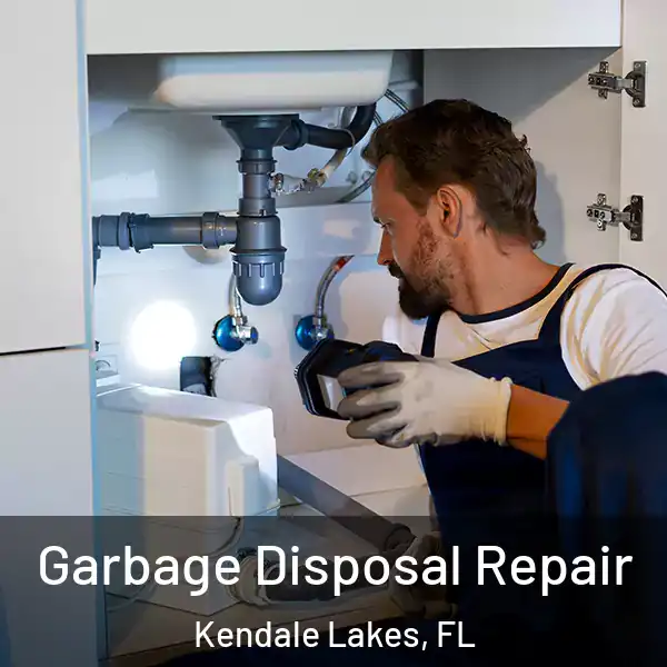  Garbage Disposal Repair Kendale Lakes, FL