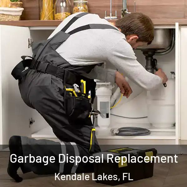  Garbage Disposal Replacement Kendale Lakes, FL