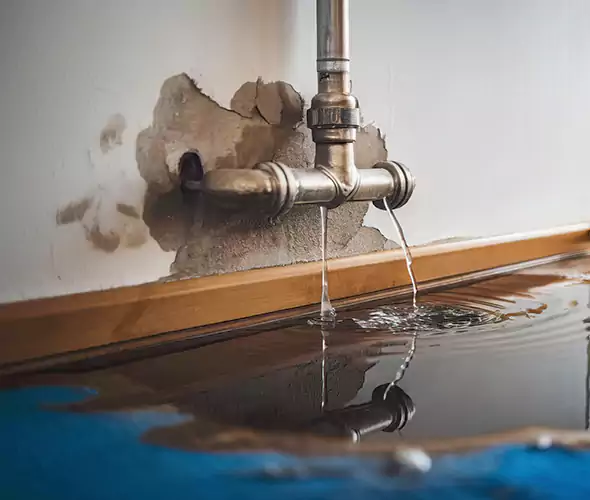 Professional Water Damage Restoration Experts in Kendale Lakes, FL — Fast, Reliable & Certified