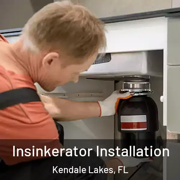  Insinkerator Installation Kendale Lakes, FL
