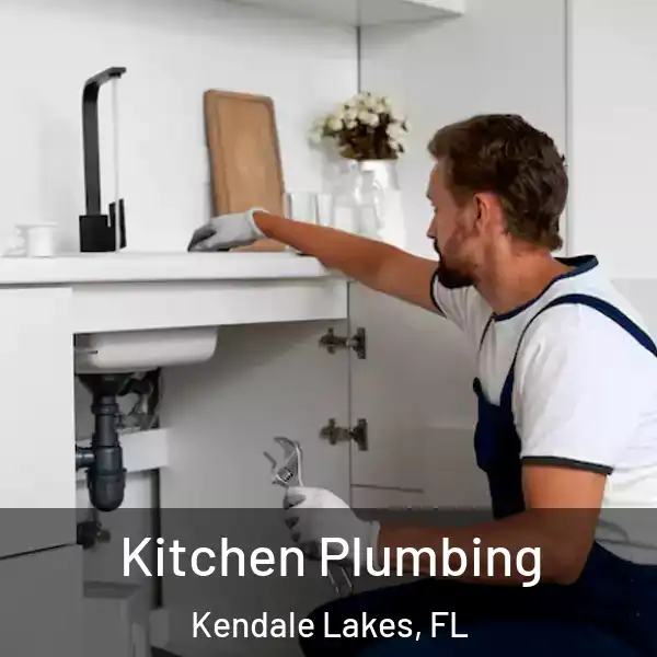  Kitchen Plumbing Kendale Lakes, FL