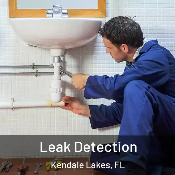  Leak Detection Kendale Lakes, FL