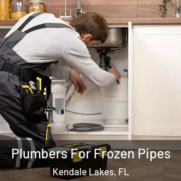  Plumbers For Frozen Pipes Kendale Lakes, FL