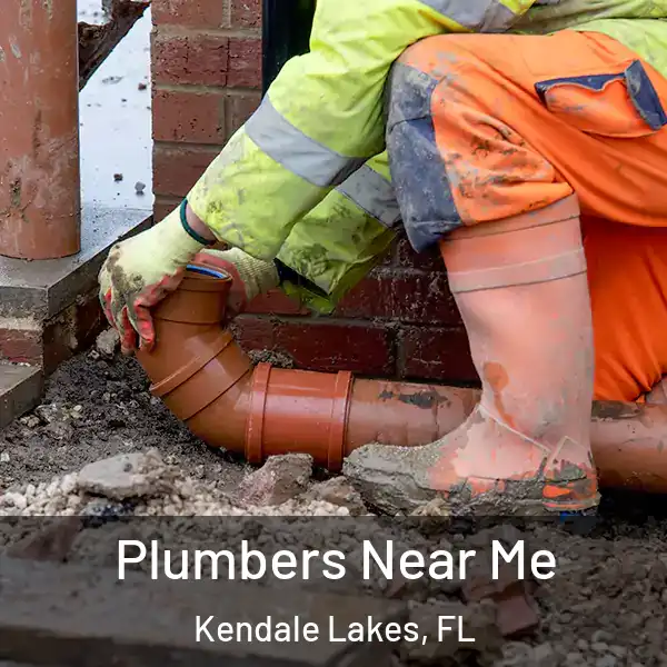  Plumbers Near Me Kendale Lakes, FL