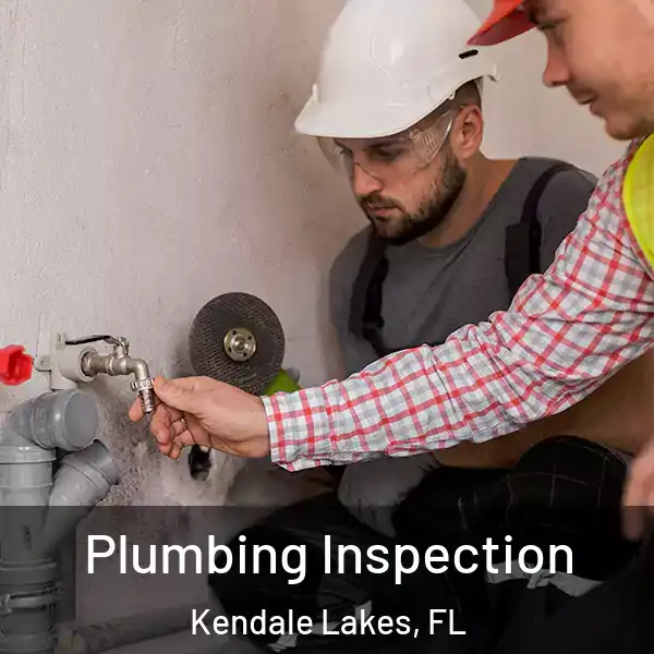  Plumbing Inspection Kendale Lakes, FL
