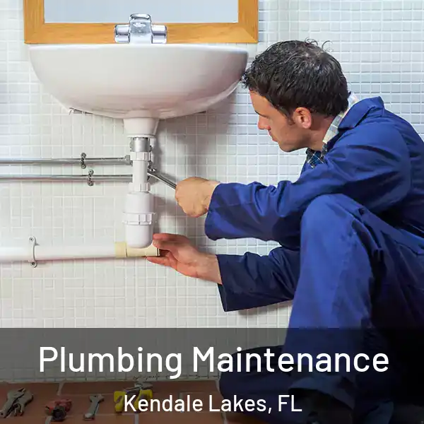  Plumbing Maintenance Kendale Lakes, FL
