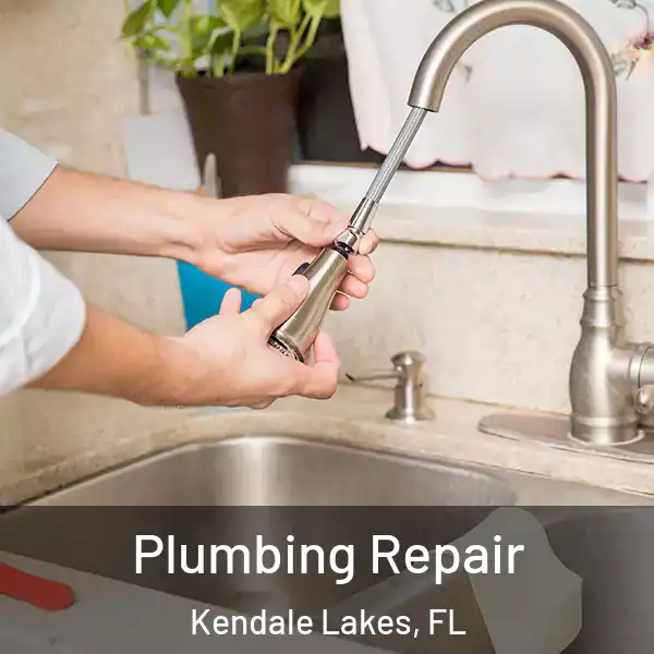 Plumbing Repair Kendale Lakes, FL
