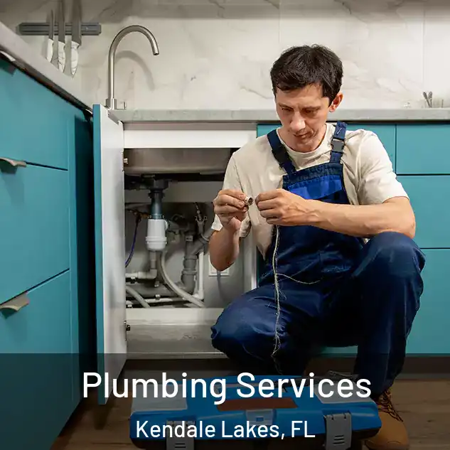  Plumbing Services Kendale Lakes, FL
