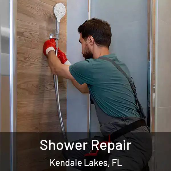 Shower Repair Kendale Lakes, FL