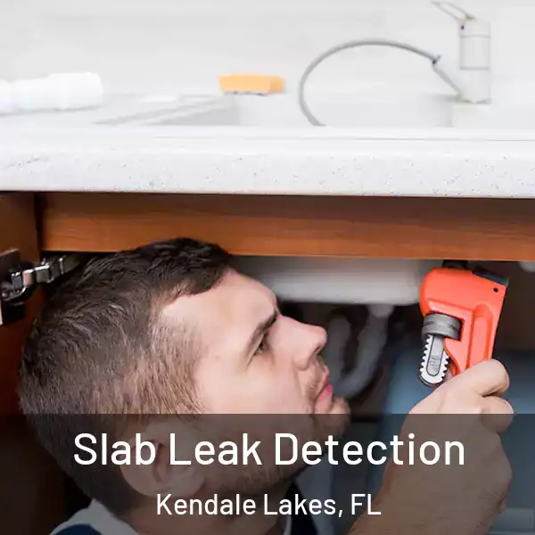  Slab Leak Detection Kendale Lakes, FL