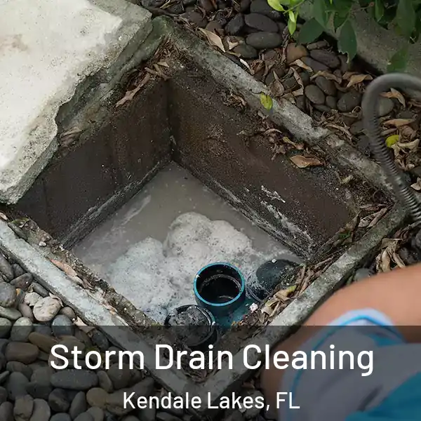  Storm Drain Cleaning Kendale Lakes, FL