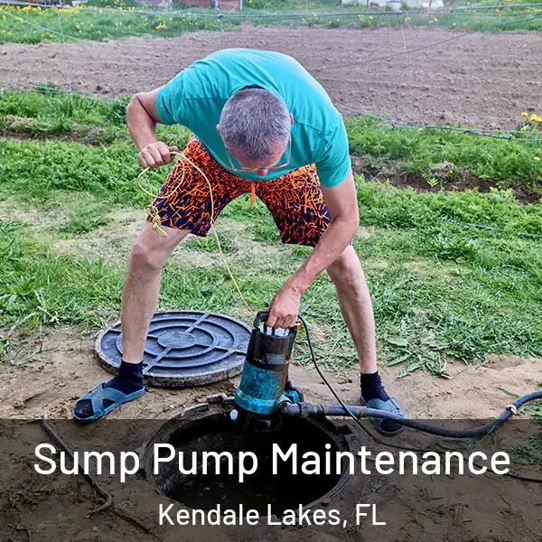  Sump Pump Maintenance Kendale Lakes, FL