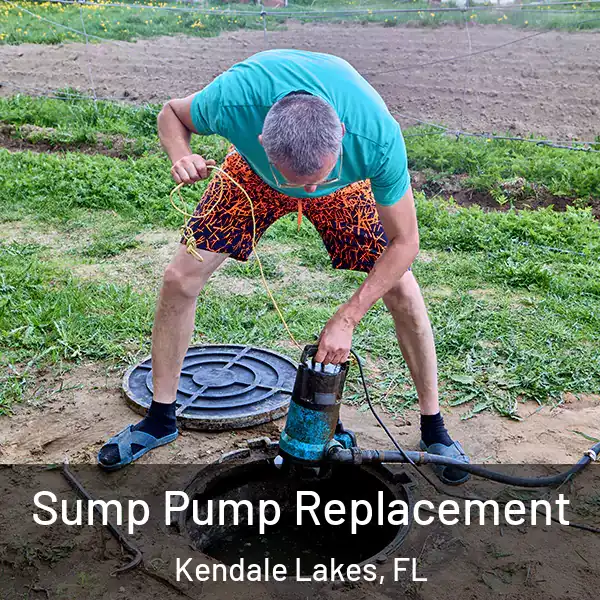  Sump Pump Replacement Kendale Lakes, FL