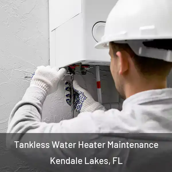  Tankless Water Heater Maintenance Kendale Lakes, FL