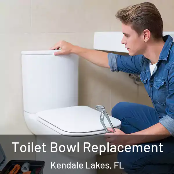  Toilet Bowl Replacement Kendale Lakes, FL