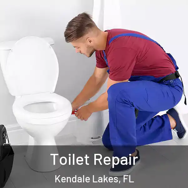  Toilet Repair Kendale Lakes, FL