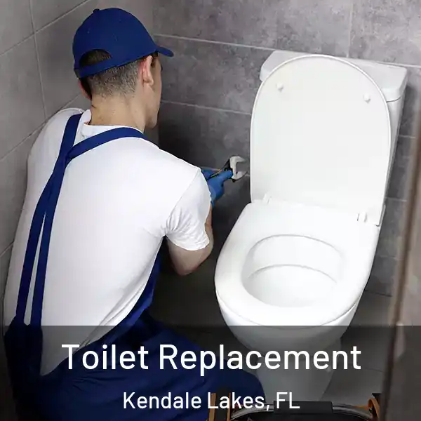  Toilet Replacement Kendale Lakes, FL