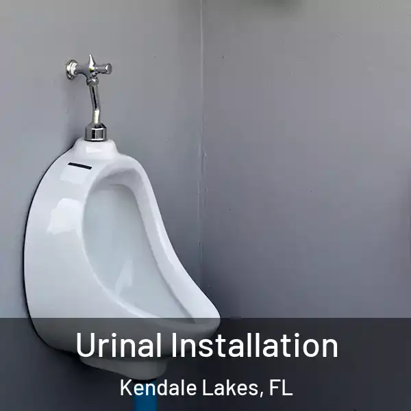  Urinal Installation Kendale Lakes, FL