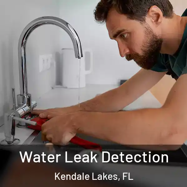  Water Leak Detection Kendale Lakes, FL