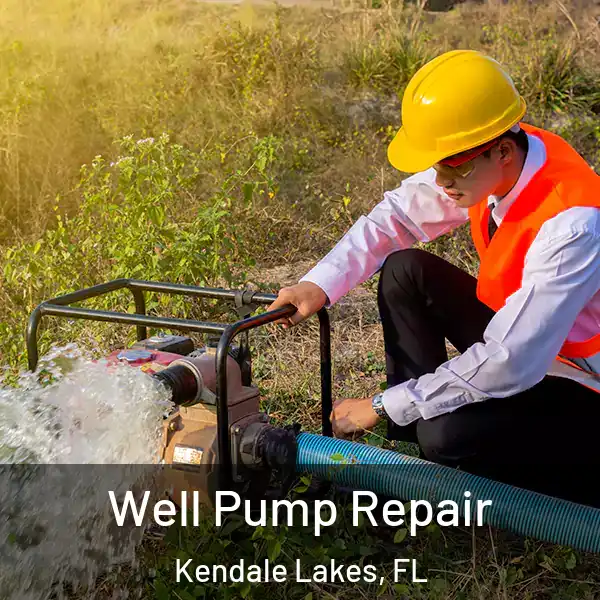  Well Pump Repair Kendale Lakes, FL